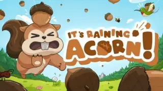 It's Raining Acorn!