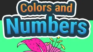 Colors and Numbers - Switch