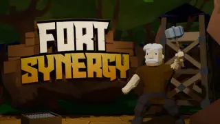 Fort Synergy Demo