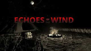Echoes of the Wind