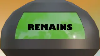 Remains