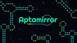 Aptamirror