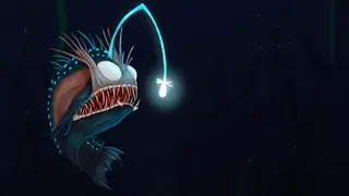 AQUADREAM - Xbox Series