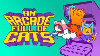 An Arcade Full of Cats