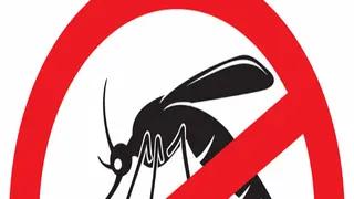 the mosquitoes - Xbox One