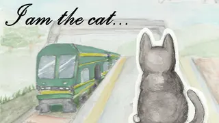 I am the cat