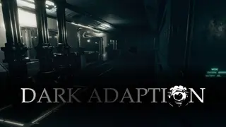 Dark Adaption