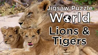 Jigsaw Puzzle World - Lions & Tigers