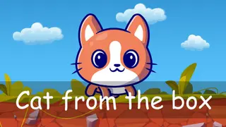 Cat from the box