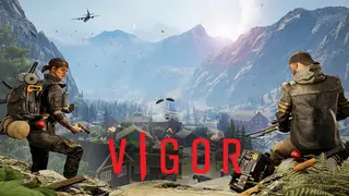 Vigor