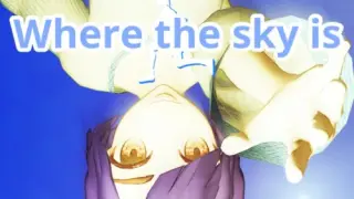 Wheretheskyis - Switch