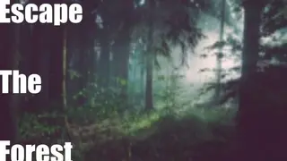 Escape the forest