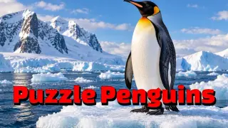 Puzzle Penguins