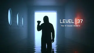 Level 37: The Ritewood Anomaly