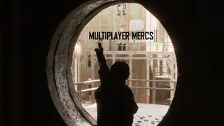 Multiplayer Mercs