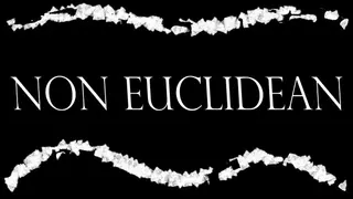 Non-Euclidean