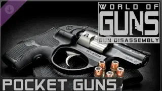 World of Guns: Pocket Guns Pack #1
