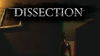 Dissection - Switch