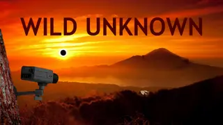Wild Unknown