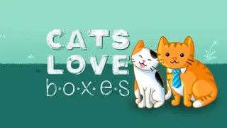 Cats Love Boxes