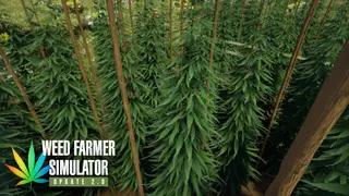 Weed Farmer Simulator