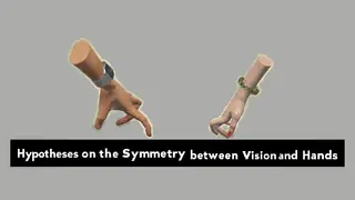 Hypotheses on the Symmetry between Vision and Hands