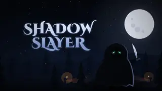 Shadow Slayer