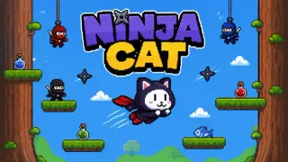 Ninja Cat