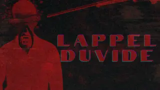 Lappelduvide