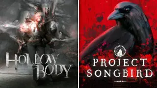Project Songbird x Hollowbody