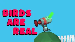 Birds Are Real