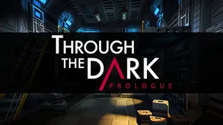 Through The Dark
