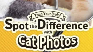 Train Your Brain! Spot the Difference with Cat Photos - Switch