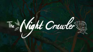 The Night Crawler