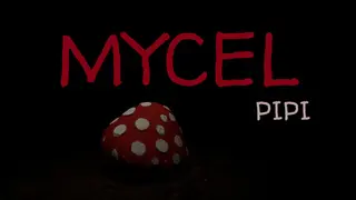 Mycel PIPI