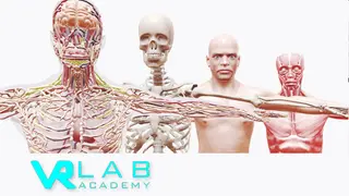 VRLab Academy: Anatomy VR
