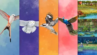 Wingspan + European + Oceania + Asia + Decorative Packs - Xbox One & Series