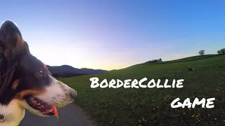 BorderCollie Game