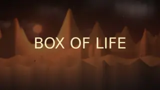 Box of Life