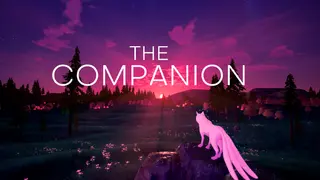 The Companion
