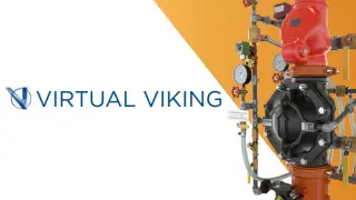 Virtual Viking