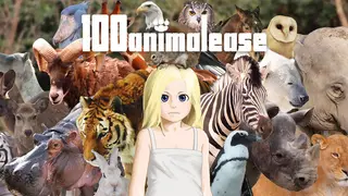 100animalease