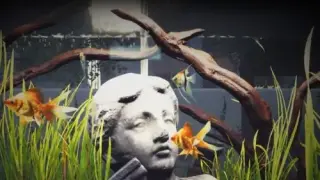 Aquarist - Switch