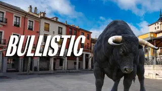BULLISTIC