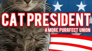 Cat President: A More Purrfect Union - Switch