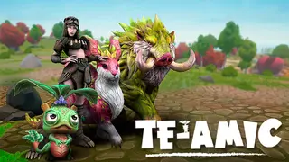 Te-Amic