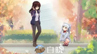 白晓