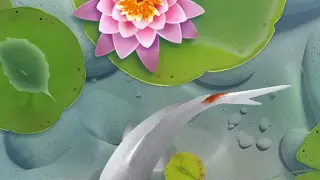 AAA Dynamic Scenes - Koi Fish Pond Dynamic Scene - PS4 & PS5