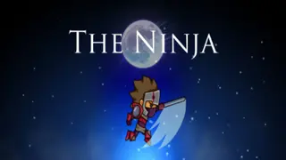 The Ninja