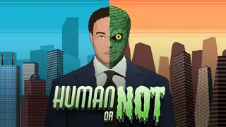 Human or Not